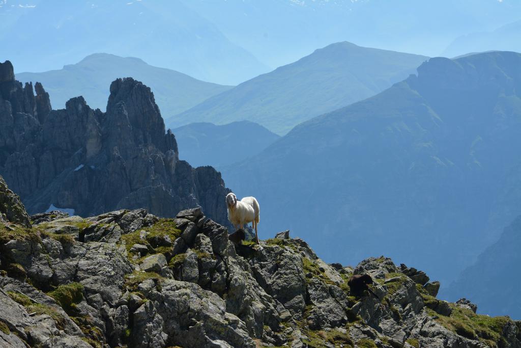 Pension Am Rain Neustift im Stubaital Exterior foto